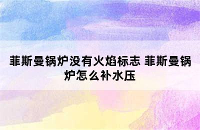 菲斯曼锅炉没有火焰标志 菲斯曼锅炉怎么补水压